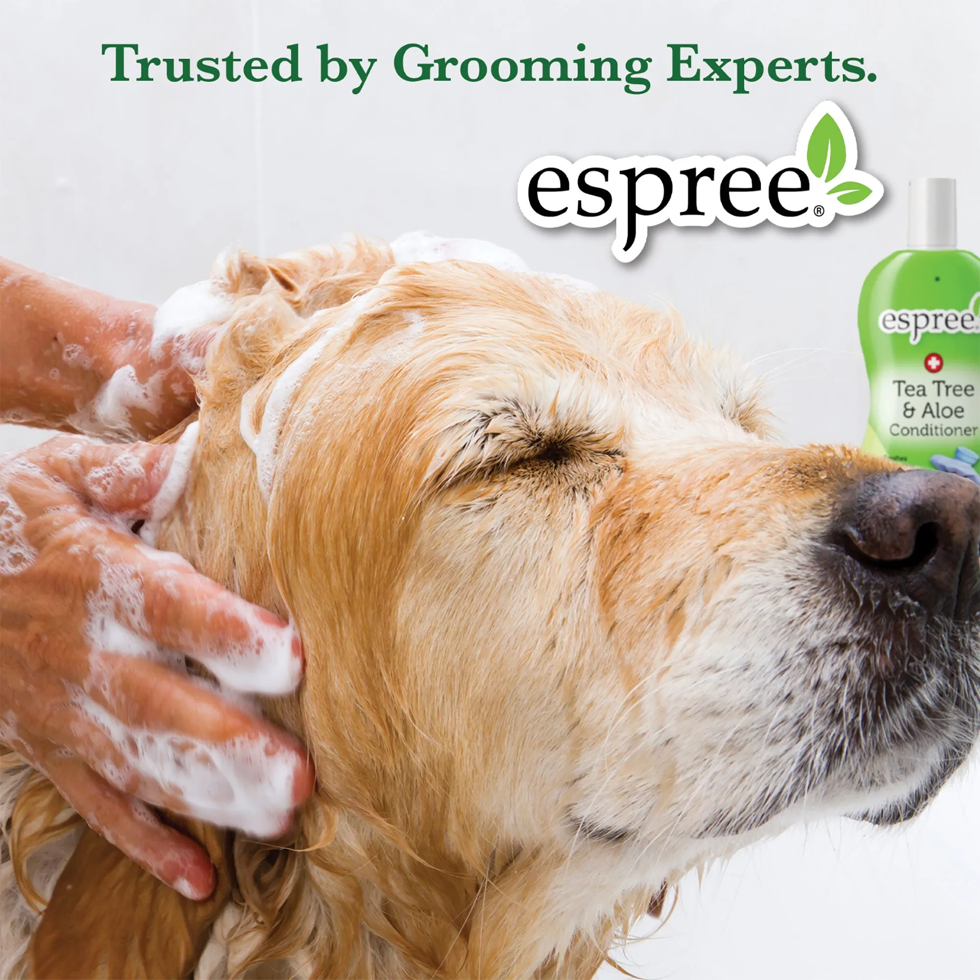 Espree Shampoo & Conditioner In One For Dogs 20 Ounce